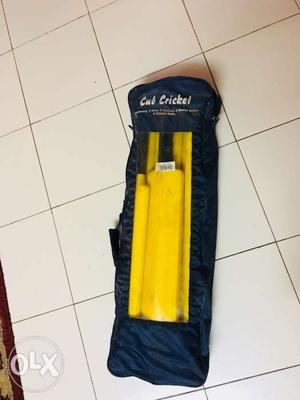 Black And Yellow Cricket kit