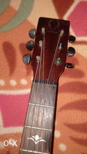 Original (tauraus) Acoustic Guitar 8month Old.