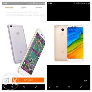 Seal pack redmi5 gold 3 32 y rose gold
