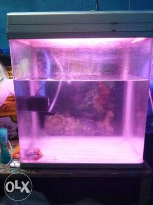 1.2 feet imported fish tank with light and top