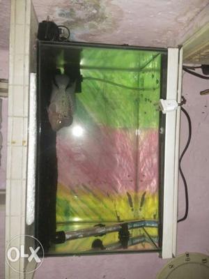 1.5 feet fish tank with new metal cover only