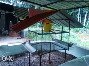 1 yr old chicken cage near Nedungapra