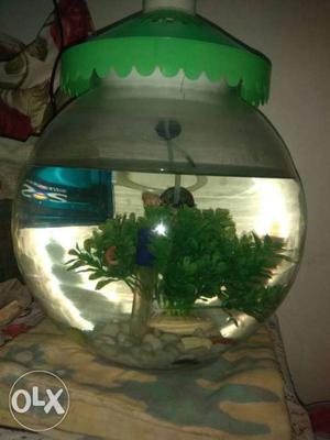 10 ltr fish bowl with filter