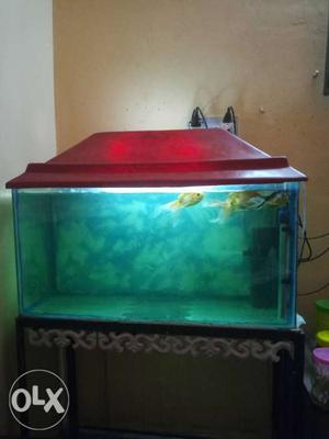 2.5*1 ft aquarium tank with filter, heater,