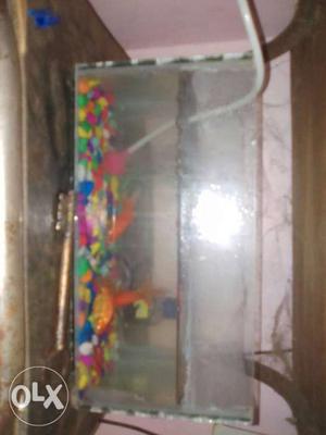 2 fish tanks + a motor totally rs 500 only
