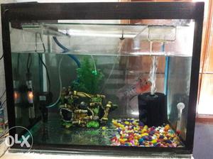 2 fit 18 inch hight and 15 inch Aqurium. 10 mm
