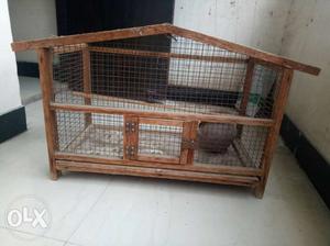 2 months old Lovebird cage with pot for sale