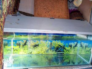 3 feet fish tank with shed