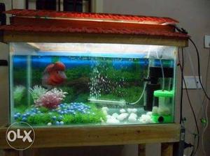 A Fish Tank For Sale, Large Size With Complete