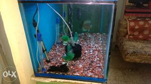 A big aquarium for sale.this only 2 years old & 2