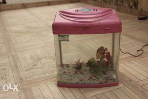 Aquarium fish with accessories and water pump