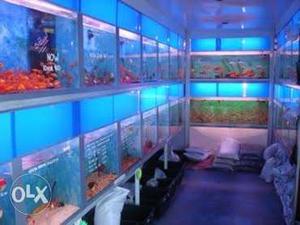 Aquarium shop designer with materials supplier in
