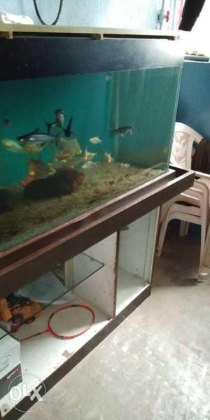 Aquarium tank for sale 3.5 X 2 feet