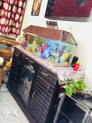 Aquarium with bottom table set