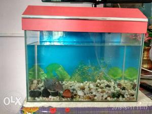 Aquarium with cover,air pump and 1 baby flower