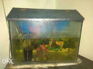 Aquarium with fish, decoratives and filter,