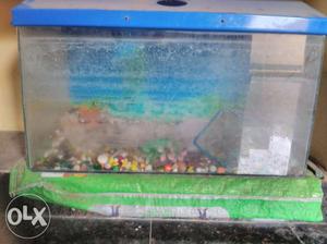 Aquarium with pebbles and oxigen genarator,