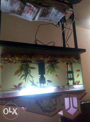 Aquarium with stand and top. Interested may