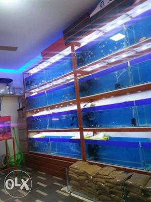 Aquariums, fishes, all aquarium accessories eight