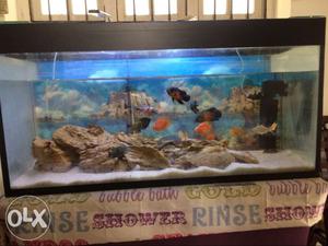 Aqurium Fish Tank 4 by 2-1/2 rocks,sand,led