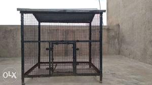Bird Cage sell urgent