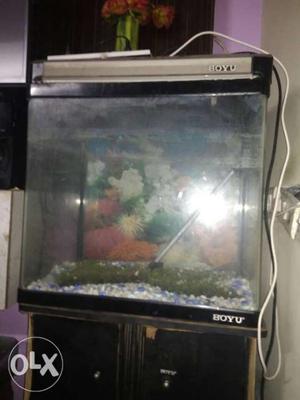 Boyu fish tank l 23inch b 23 inch
