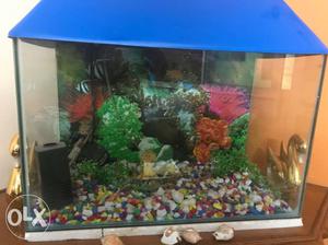 Brand new fish aquarium for sale.