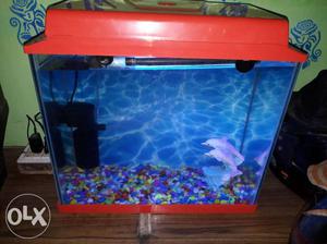Complete 1.5 feet fish tank with stone filter