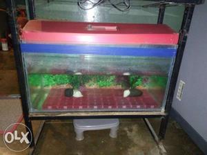Fish Aquarium for sale includes tank, stand, new