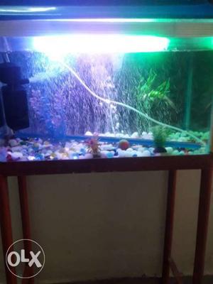 Fish Aquriam For Sale With All Accesris And Good