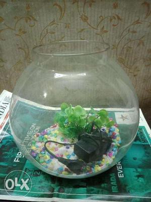 Fish Bowl / Fish Tank