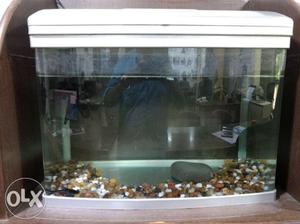 Fish Tank For Sale good Looking with Motor And