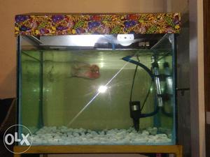 Fish Tank With All Accesories