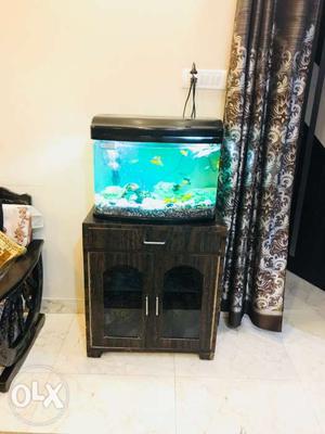Fish Tank With Black Frame with Trolly Table