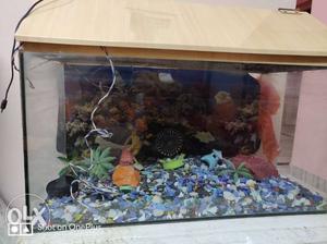 Fish aquarium 3 feet along with colorfull stones