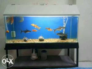 Fish aquarium...with all accesories 1) 2 tin