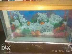 Fish tank 7×35 inches