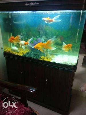 Fish tank aquarium in very excellent condition