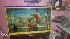 Fish tank for sale with accessories