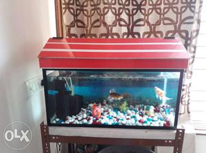 Fish tank full set GOOD condition with stand. 1×2 fit.