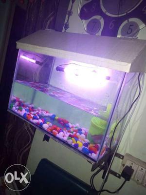Fish tank only two month use,