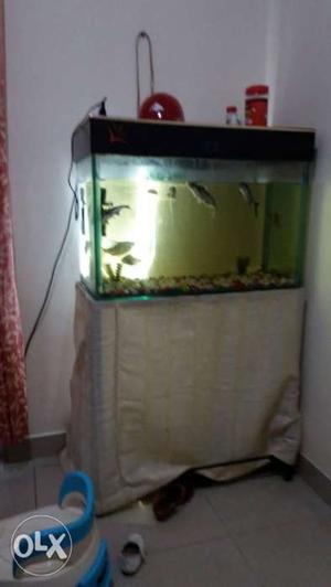 Fish tank with fishes and fish food also stand.