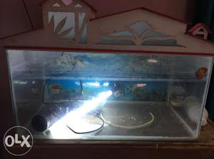 Fish tank with full set with filter and net