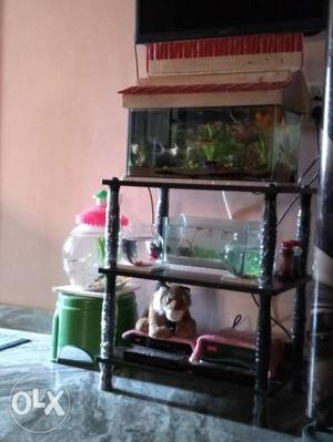 Fish tank with top cover " along with bowl