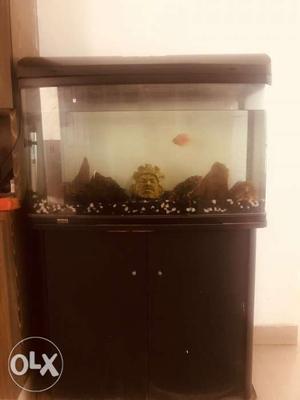 Fish tank with water filter,overhead