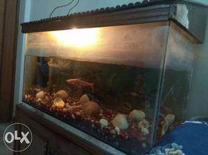 Good condition Aquarium with filters, stone, food