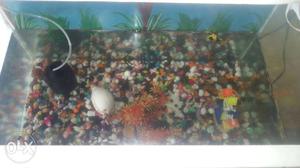 Good condition fish tank & filter & 5 kg colours