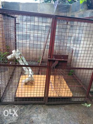 Head of dog cage metal sheet is there and side