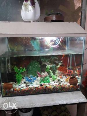 I want to sale my fish tank n fishes also.urgent