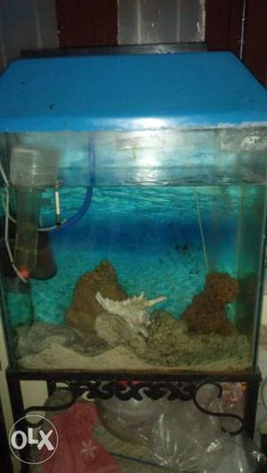 Marine aquarium with all accessories with water